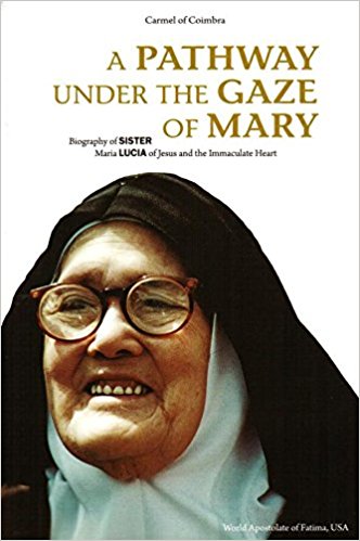 A Pathway Under the Gaze of Mary: Biography of Sister Maria Lucia of Jesus and the Immaculate Heart
