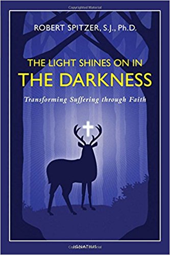 The Light Shines on in the Darkness: Transforming Suffering through Faith (Happiness, Suffering, and Transcendence) by Robert Spitzer