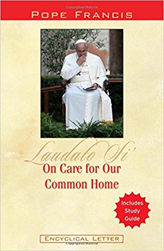 On Care for Our Common Home (Laudato Si')