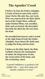 The Apostles' Creed Laminate Holy Card