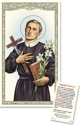 Saint Gerard Laminated Holy Card