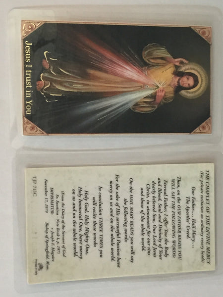 Divine Mercy Chaplet Laminate - DISCONTINUED